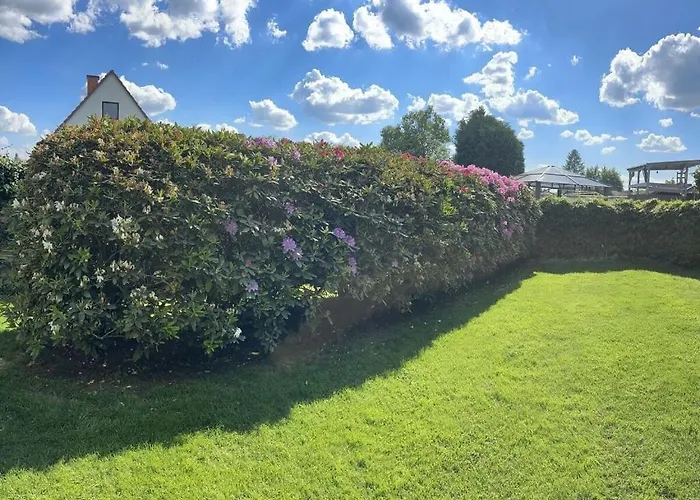 Schlossblick Braunfels